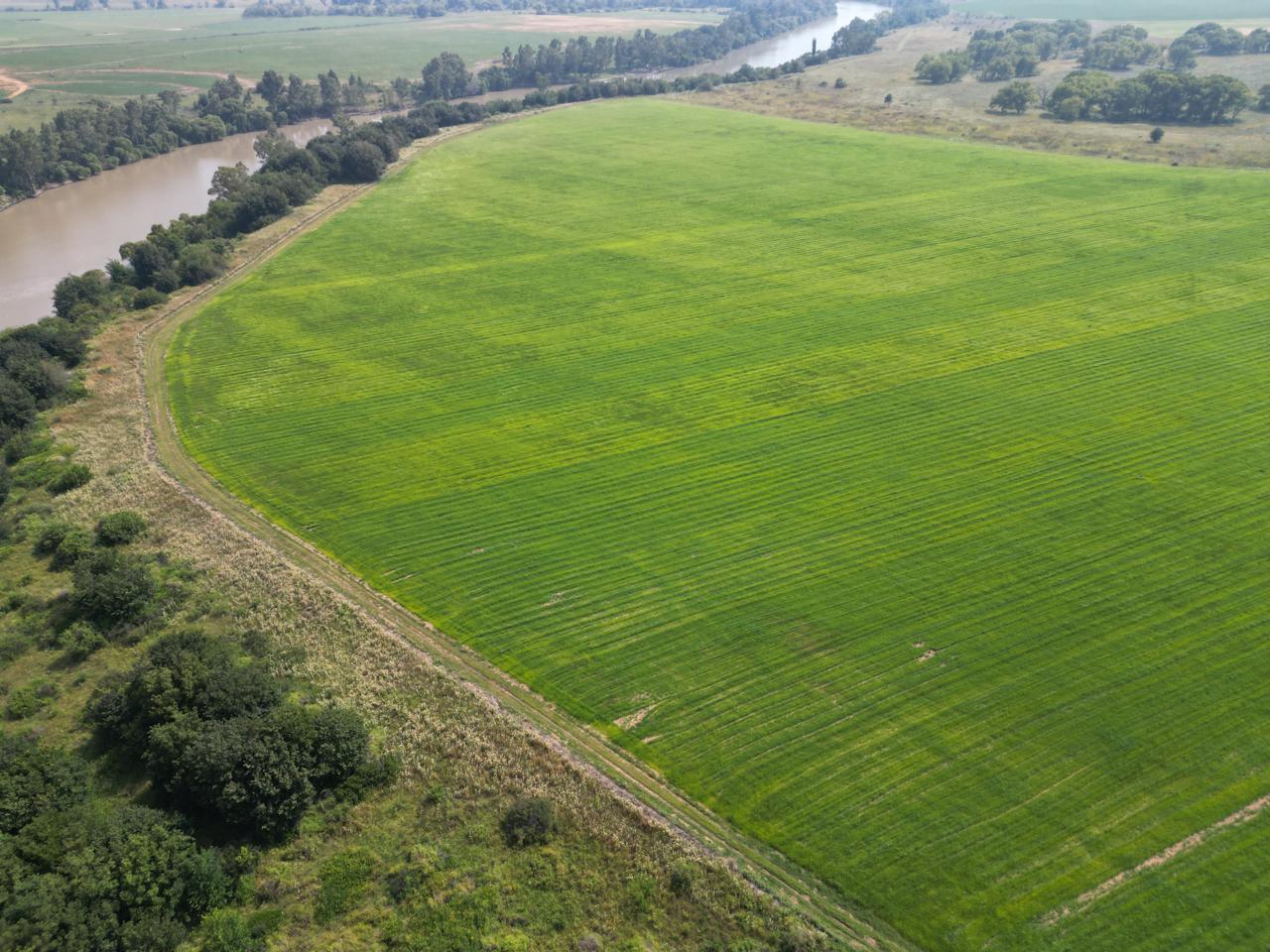 Teff field
